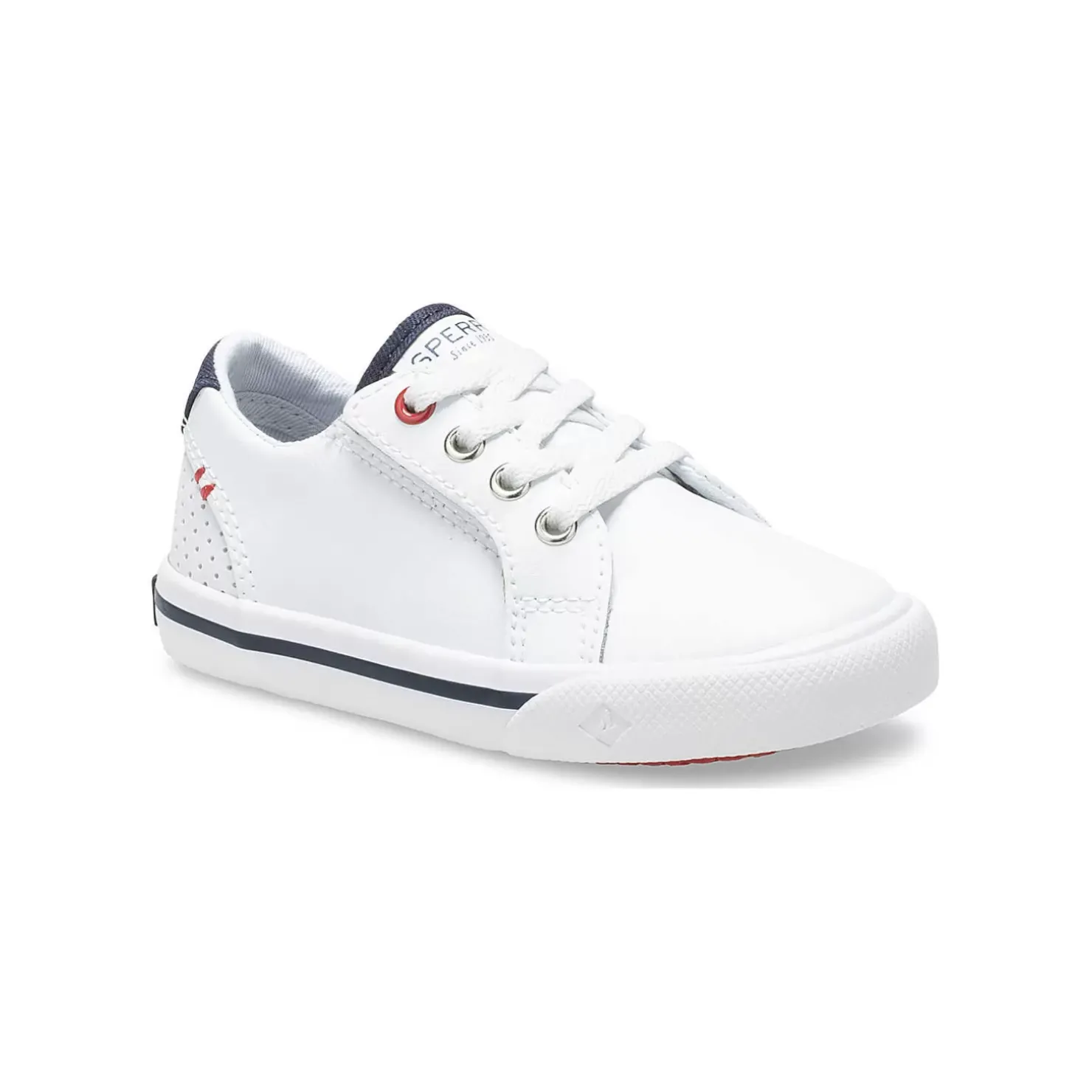Kids/BOY Sperry Little Kid's Striper II LTT Junior Sneaker