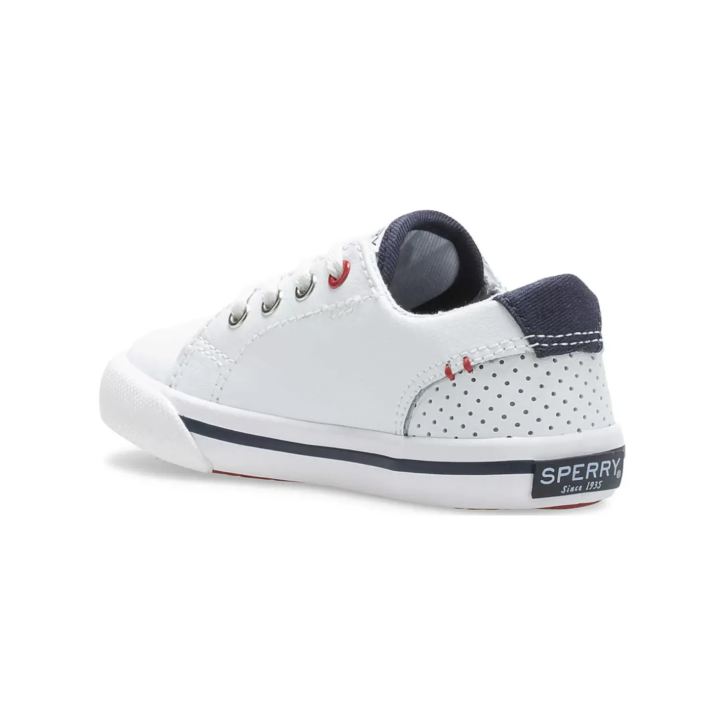 Kids/BOY Sperry Little Kid's Striper II LTT Junior Sneaker