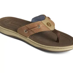 Men Sperry Men's Baitfish Flip Flops