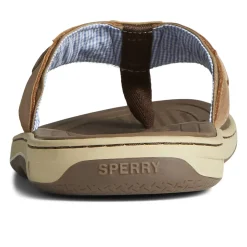 Men Sperry Men's Baitfish Flip Flops