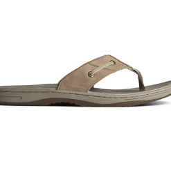 Men Sperry Men's Baitfish Leather Flip Flop