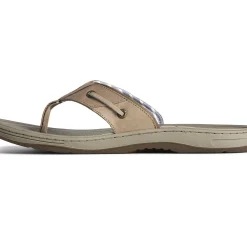 Men Sperry Men's Baitfish Leather Flip Flop