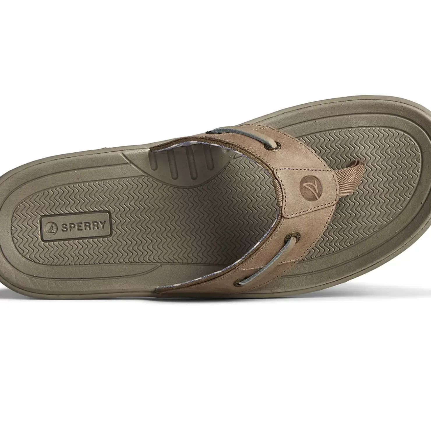 Men Sperry Men's Baitfish Leather Flip Flop