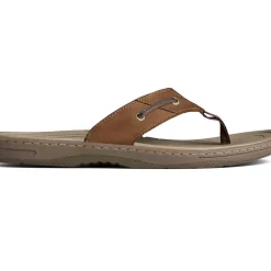 Men Sperry Men's Baitfish Leather Flip Flop