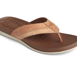 Men Sperry Men's PLUSHWAVE&trade; Thong Sandal