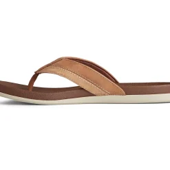 Men Sperry Men's PLUSHWAVE™ Thong Sandal