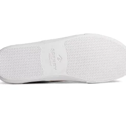 Men Sperry Men's SeaCycled™ Striper II CVO Twill Sneaker