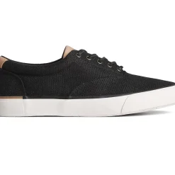 Men Sperry Men's SeaCycled&trade; Striper II CVO Baja Sneaker