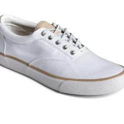Men Sperry Men's SeaCycled&trade; Striper II CVO Twill Sneaker