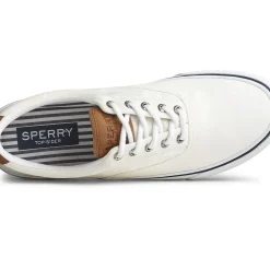 Men Sperry Men's Striper II CVO Sneaker