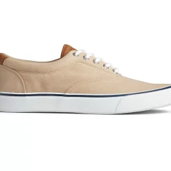 Men Sperry Men's Striper II CVO Sneaker