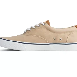 Men Sperry Men's Striper II CVO Sneaker