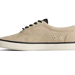 Men Sperry Men's Striper PLUSHWAVE™ CVO Sneaker