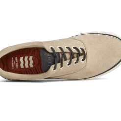 Men Sperry Men's Striper PLUSHWAVE™ CVO Sneaker