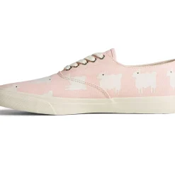 Men/Women Sperry Unisex x Warm & Wonderful Cloud CVO Sneaker