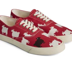 Men/Women Sperry Unisex x Warm & Wonderful Cloud CVO Sneaker