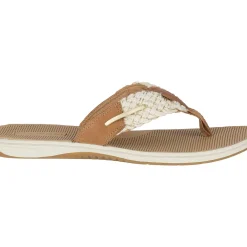 Men/Women Sperry Women's Parrotfish Sandal