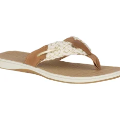 Men/Women Sperry Women's Parrotfish Sandal