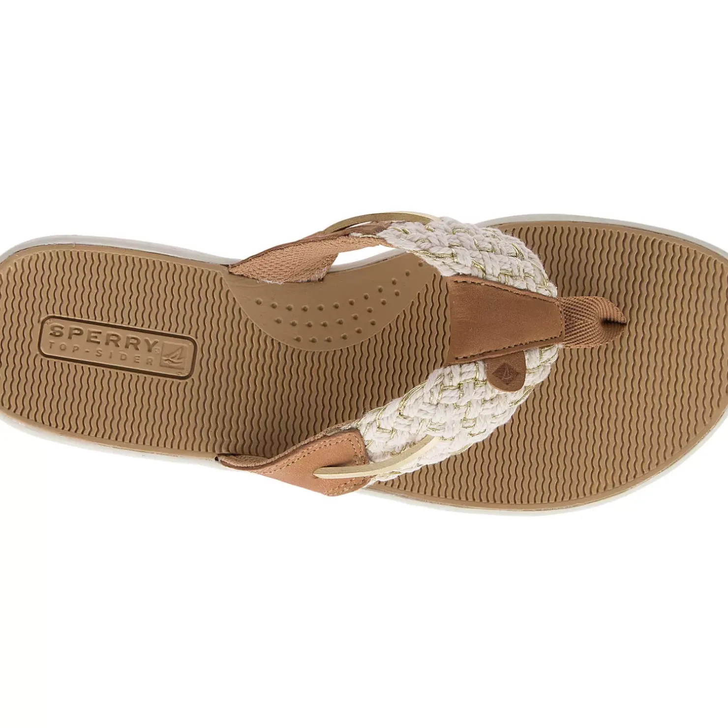 Men/Women Sperry Women's Parrotfish Sandal