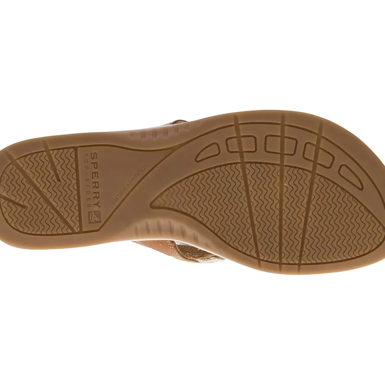 Men/Women Sperry Women's Parrotfish Sandal